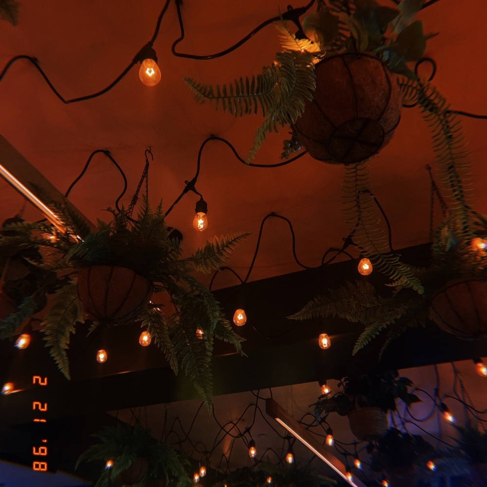 Meet your Posher, Kiley